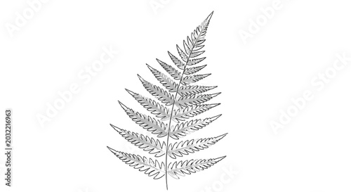 Tableau sur toile Fern frond silhouette against a black background