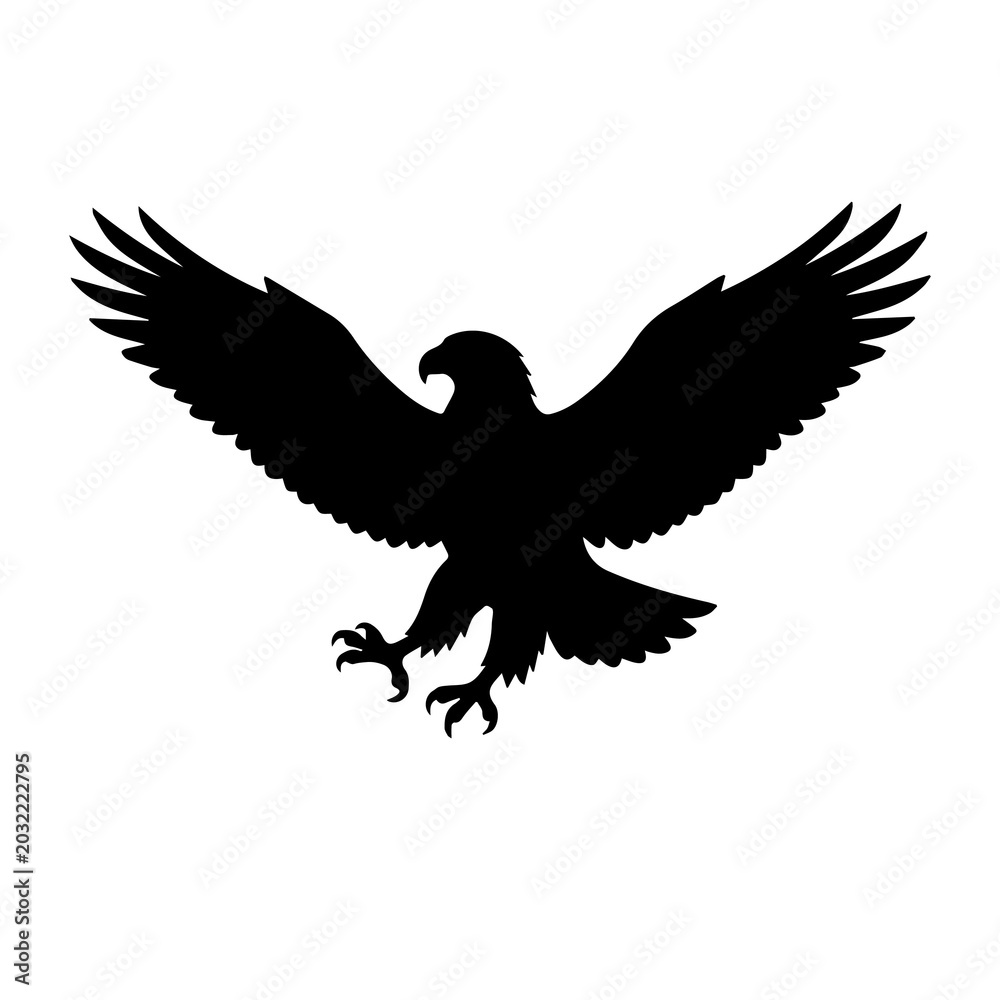 Fototapeta premium eagle in flight