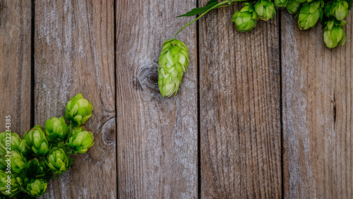 Canvastavla Hops arranged on wooden surface showing the freshness of the plants during harve