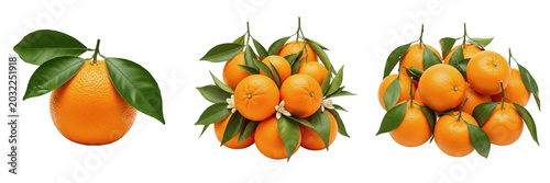 Fotografía Fresh orange fruit set with green leaves isolated on transparent background