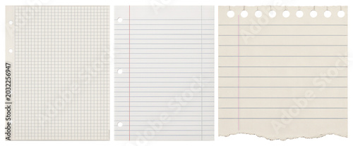 PNG Three types of notebook paper on transparent background