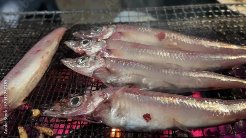 マイムービー 2富山の魚ニギス　バーベキューで炭焼き
