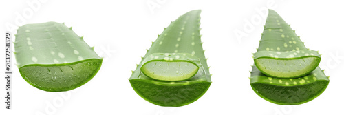 Bild auf Leinwand Set of Fresh Aloe Vera Slices and Leaves, Organic Medicinal Plant for Skincare a