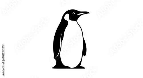 Konstfotografi Penguin standing on the ground.