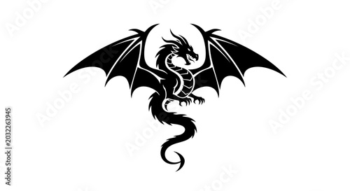 Foto Black dragon with wings spread wide.
