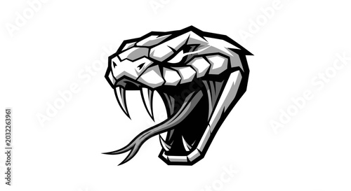 Fotografía Snake Head with Open Mouth.