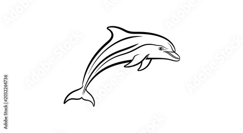 Bild auf Leinwand Dolphin swimming in the ocean water.