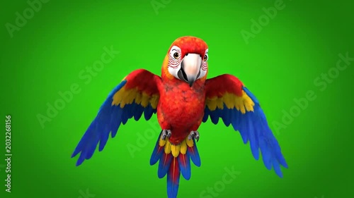 Colorful parrot in flight against green background for commercial use