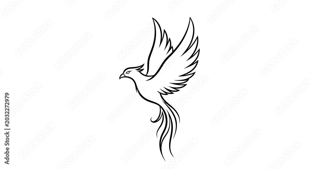 Fototapeta premium Bird in Flight with Spread Wings.