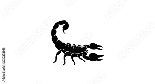 Fotografía Black scorpion standing alone sideways.