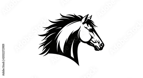 Konstfotografi Black and white horse head profile.