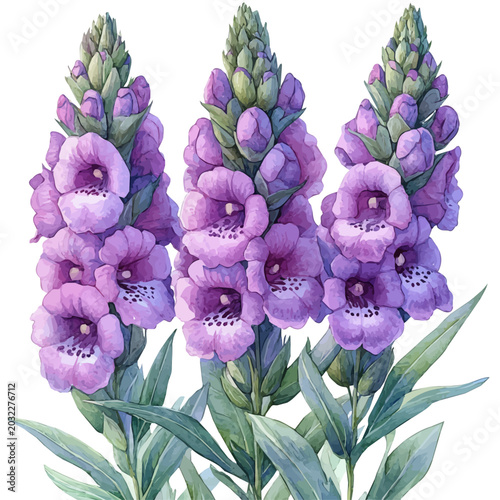 Foto Obedient Plant Flower, high quality watercolor, isolated on a white background, vibrant details