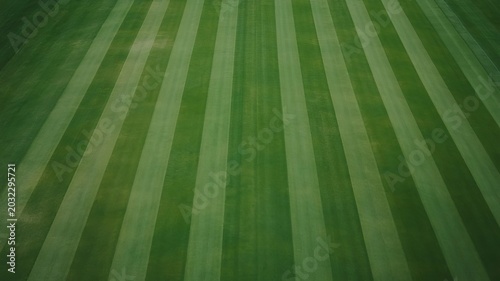 Soccer stadium field grass background design