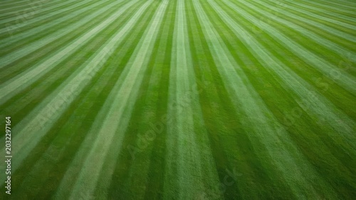 Soccer stadium field grass background design