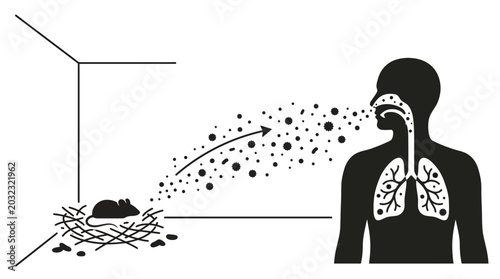 Fotografie Hantavirus transmission diagram showing rodent waste particles entering human lungs