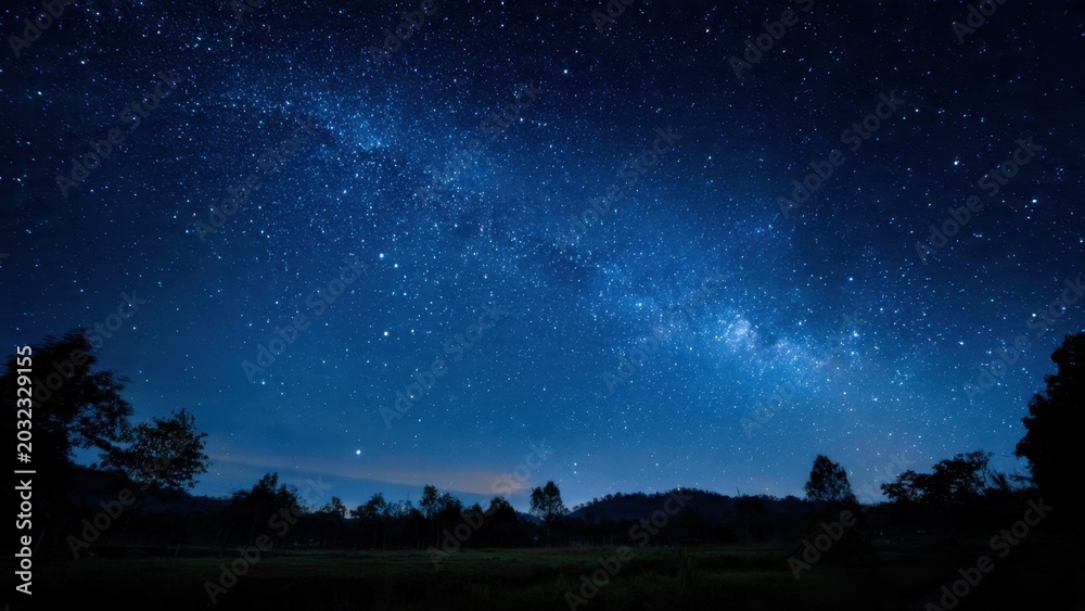 Obraz premium Milky Way Over Forest at Night