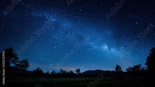 Milky Way Over Forest at Night
