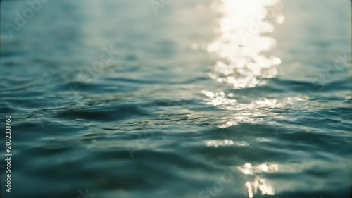The shimmering water surface