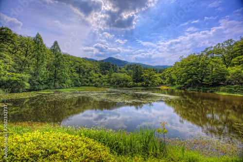 фотографія 육림호,국립수목원,포천시,경기도