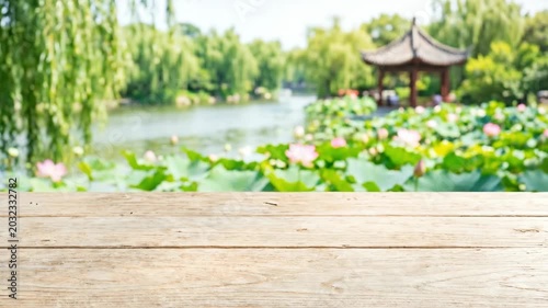 Lotus and Willow Blossoms by the Lake and Pavilion Landscape