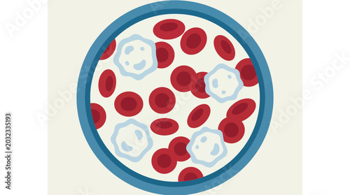 Schilderij op canvas Blood Cell Microscopic Red White