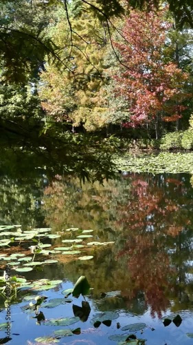 Lake Lawson in Autumn
