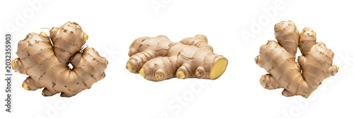 Photos Ginger root, Zingiber officinale, Zingiberaceae family, medicinal spice subterra