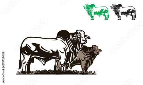 cattle special, brahman bull logo, silhouette of big strong pet standing in farm vector illustration