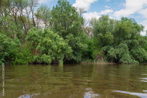 Принти на полотні The Volga River Delta in the Damchik section of the Astrakhan Biosphere Reserve,