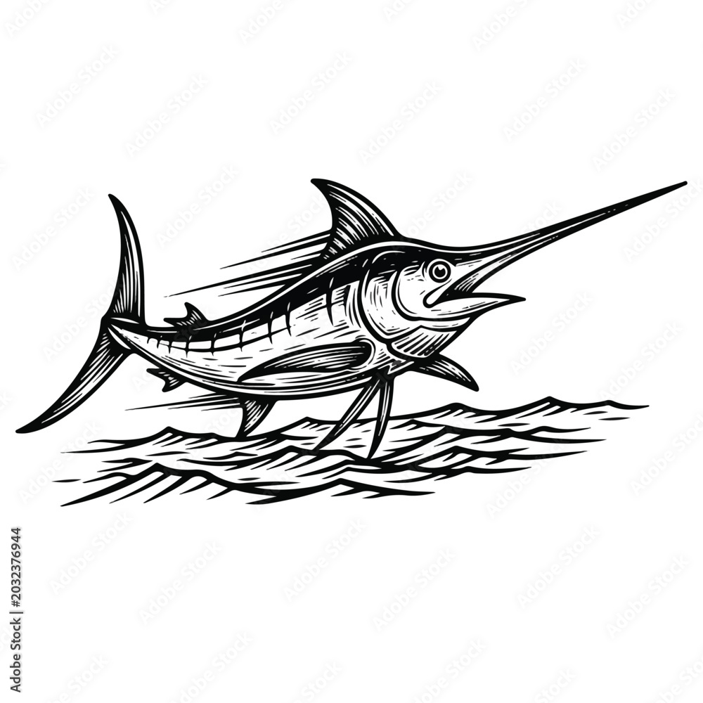 Fototapeta premium Detailed drawing of a marlin fish.