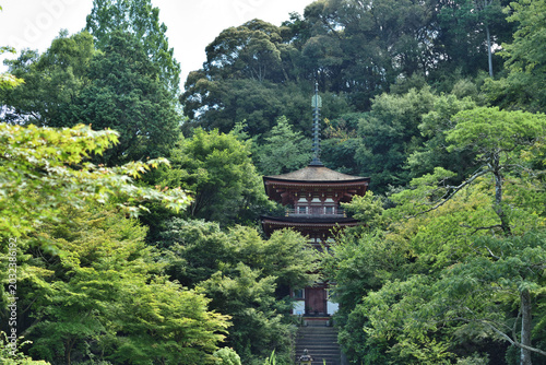 Photos 浄瑠璃寺　緑に包まれる三重塔(京都府木津川市)