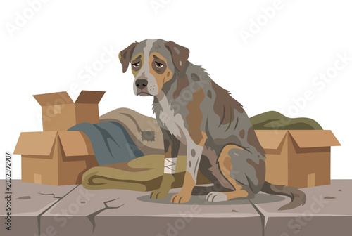 Foto Sad stray dog sitting boxes, injured paw abandoned street, lonely homeless animal urban hardship cartoon vector background