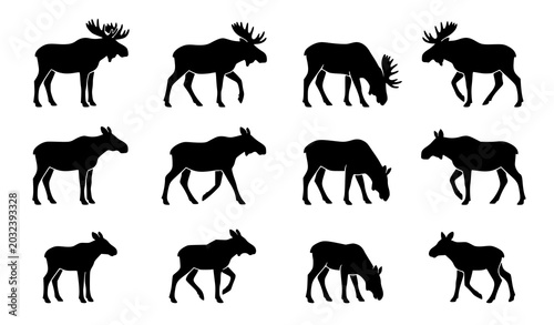 Canvas Print Set of moose family silhouette icons featuring male female and calf in minimalis