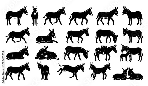 Tableau sur toile Donkey Silhouette Vector Collection with Multiple Farm Animal Angles and Rural P