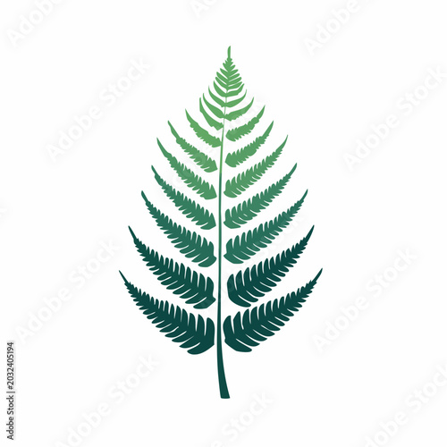 Green Fern Leaf Illustration