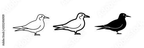 Seagull Vector Icons, Bird Silhouettes, Coastal Wildlife Graphics