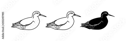 Foto Shorebird Vector Art, Minimalist Sandpiper Illustration, Black and White Bird Ic