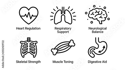 Heart, lungs, brain, bones, muscles, and gastrointestinal icons represent basic health and exercise function support, suitable for fitness nutrition products.
