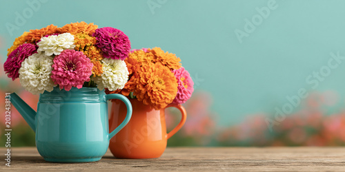 colorful bouquet of blooming zinnias in decorative watering cans on rustic wooden surface with soft blurred garden background for cheerful floral decor inspiration