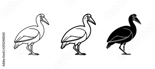 Foto Ibis Bird Vector Icons: Outline, Line Art, Silhouette Collection