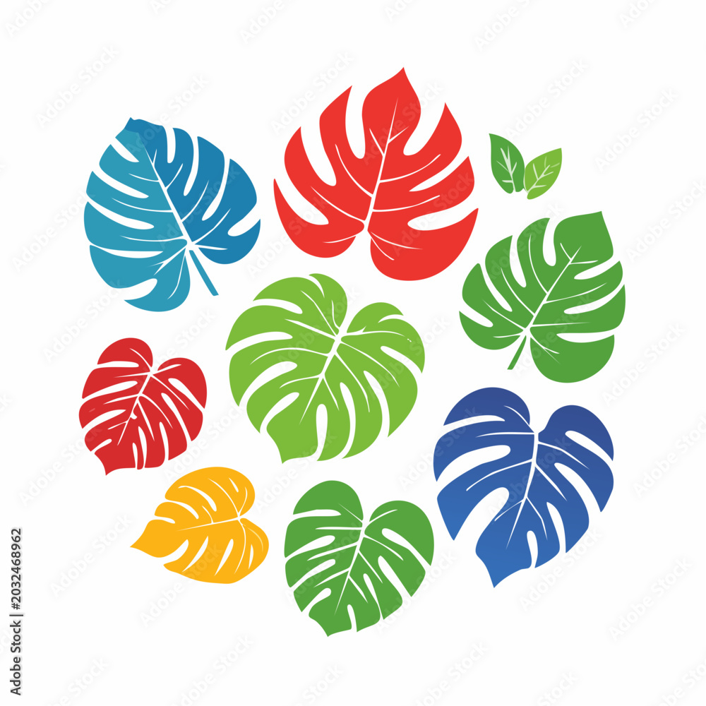 Fototapeta premium Monstera Leaves in Various Colors