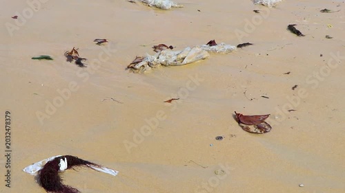 Tropical ocean pollution destroying sandy beach landscapes with extreme garbage Thailand.