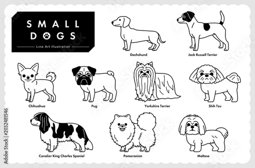 Small dog breeds lineup line art vector illustration