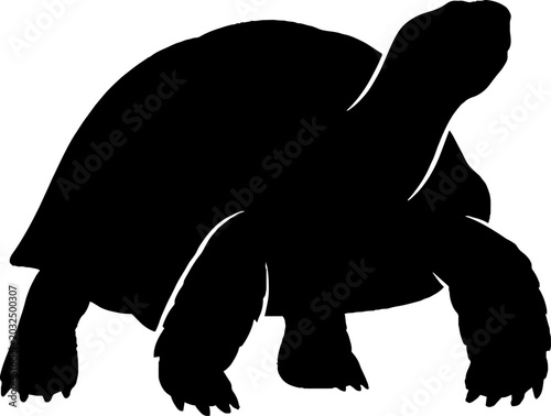 Walking tortoise silhouette with extended neck