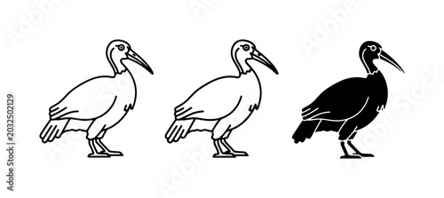 Cuadro en lienzo Ibis Bird Icons: Outline, Silhouette, Black Vector Art