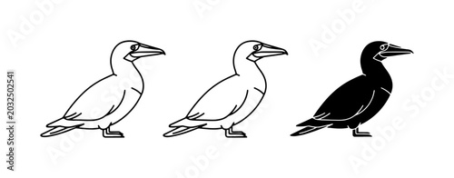 Foto Seabird Icons: Outline, Silhouette, and Filled Bird Graphics