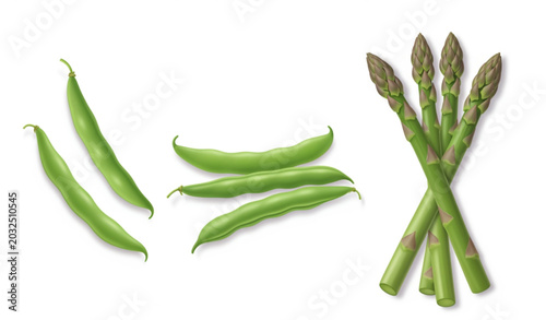 Quadro su tela Fresh Organic Green Beans and Asparagus Vegetable Vector Collection