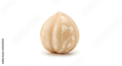 Close up of a single hazelnut kernel isolated on white background