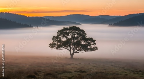 Lone tree stands in a foggy field at sunrise with mountains in the background.
