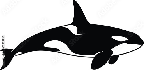 Orca killer whale silhouette illustration, black and white marine animal artwork, ocean wildlife design for aquatic life branding content